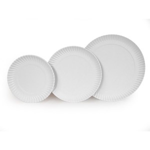 Recycled Cardboard Plates